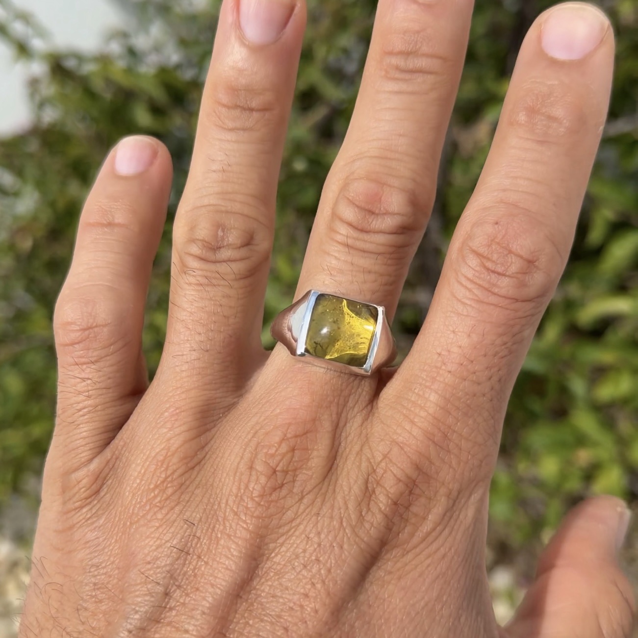 Sello de ámbar mexicano